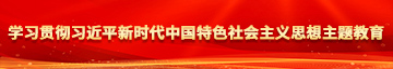 干日本女人逼学习贯彻习近平新时代中国特色社会主义思想主题教育